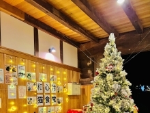 和心村の冬物語: クリスマスツリーと猫たちの幸せな時間