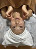 サーモすると引き締まるからつまめなくなる「先日荒木まどかさんにご来店頂きました！」