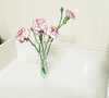 店内「【新しいお花🌹】」