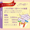 「11月23日(木祝) 感謝デー開催【信州お菓子　伊那手土産　菓子ギフト　スイーツ】」