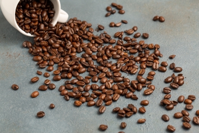「【キッチンプルート☆次回の営業日は 11月21日 です】世界のコーヒーを巡る旅◆他の木に守られて育つコーヒー」