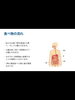 食べ物の流れ「朝食の行き場所？！？【ジム/ボディメイク/ダイエット/機能改善/パーソナルジム/安心安全/小伝馬町/人形町/馬喰町/浜町】」
