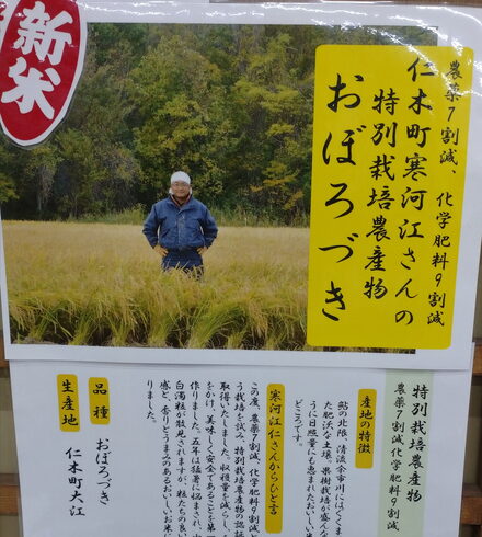 寒河江さんの農薬7割節減おぼろづき「農薬7割節減おぼろづき」