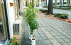 外観「【植物への“水やり”🌳】」