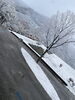 「初雪ってレベルじゃねぇぞ！！」