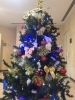 クリスマスツリー「白帆の湯　クリスマスツリー飾りました(^^♪」