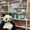 「良い日曜日をお過ごしくださいませ！！」