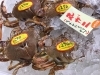 「魚魚市場鮮魚コーナーおすすめは「丸ガニ」です♪」