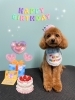「お友達♡ Dog salon mofu mofu 余市町」