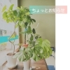 「イベント出店のお知らせ【村上市の女性と子供たちのための整体院です。腰痛、肩こり首こり、四十肩五十肩、ケガ故障予防もお気軽にご相談ください】」