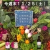 １１/２５（土）のイベント情報＠市川のクラフトビール工場