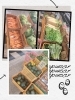 「スーパーよしだ脇本店限定！　出水、阿久根のスーパー特価のお知らせ✨」