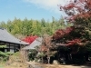 円光寺と紅葉「紅葉を求めて　津市内その１」