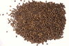 ゲイシャ種コーヒー豆「【キッチンプルート☆本日営業日 ベビーカステラ焼きます！】世界のコーヒーを巡る旅◆世界に衝撃を与えた美味しさ」