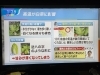 前日にお電話にてご対応させて頂きました^_^「☆カラフル野菜の小山農園、TBS『ひるおび』に登場☆」