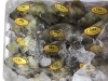 「魚魚市場鮮魚コーナーおすすめは「カワハギ」です♪」