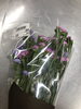 お花の忘れ物です。「魚沼のパン屋since1977 ロリアン 営業案内です。」