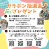 「本日から！加盟店に行ってガラポン抽選会に参加しよう★」