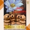 「祝1周年✨　八王子　タイ古式マッサージ　タイマッサージサロンゆらぎゆらぎ横山町店」