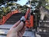 住吉大社参拝、「久しぶりの音声配信となりました。」