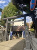 氷川神社「まいぷれ杉並区編集部　高円寺へ」