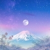 年末・年始の営業のお知らせ♪