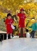 「Picnic Day」