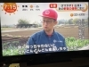 さすがにもうウチにはフジテレビさん来ないかな…。「☆カラフル野菜の小山農園、『めざましテレビ』無事にオンエア☆」