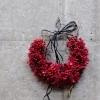 【Crimson wreath】
