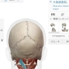 〜首こり〜