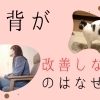 【姿勢　猫背】猫背が改善しないのはなぜ？？【腰痛・坐骨神経痛・整体・那須塩原・大田原】