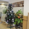 クリスマスですねぇ☆　　高住センターから、クリスマスの飾りつけをされている老人ホーム見学情報です。
