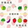 「いちごさんぽ園です🍓」