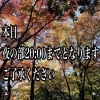 本日夜の部20:00までです🙇‍♀️