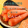 「えだクリニック漢方内科から冬を乗り切る食べ物」