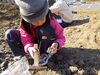 化石ほりに挑戦！「【活動報告】化石ほりに挑戦　」