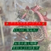 クリスマスオードブル