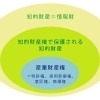 【兵庫県内企業向け】知的財産権個別オンライン相談会 2023