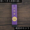 「～今ここに心を置く～斐川町　仏壇」