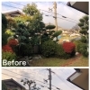川西市清和台西でお庭の剪定をしました！