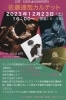 「佐藤達哉カルテット」
