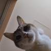 投薬でお困りの時は・・・