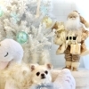 Merry Xmas🎄