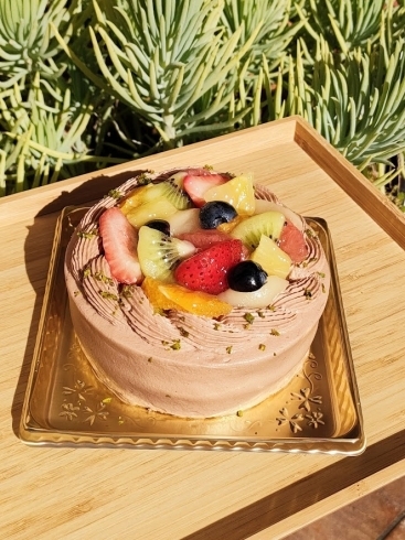 チョコクリームフルーツデコレーションケーキ「四季を彩るデザート：チョコクリームフルーツデコレーションケーキの魅力」