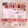 毎月1〜5日は税込み3300円以上ご購入のお客様に花1輪プレゼント【越前市/花屋/生花/フラワーアレンジメント/ふるーれ・T】