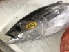「魚魚市場鮮魚コーナーおすすめは「ビンチョウマグロ」です♪」