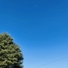 【茨城】【水戸】【無人航空機操縦士】-ドローン飛行体験-【ドローン】【免許】【資格】