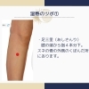 【体質別！】抜け毛におすすめのツボ！②【新潟】鍼灸パルシェ