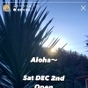Sat DEC 2nd Open
