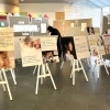 まなびフェスタ2023　子どもが家庭で育つ機会を　千葉事務所　都賀駅徒歩５分